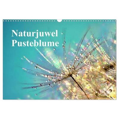 Naturjuwel Pusteblume (Wandkalender 2027 DIN A3 quer), CALVENDO Monatskalender