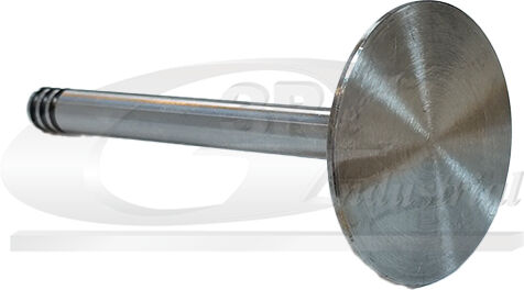 3rg Einlassventil 87216