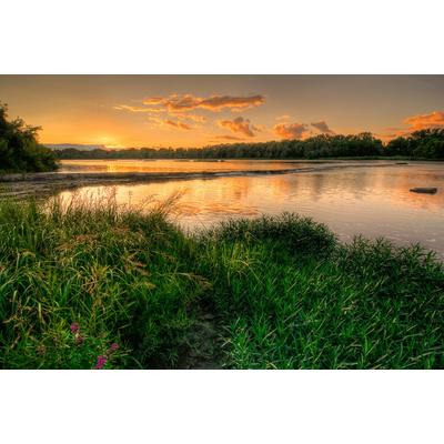Fototapete PAPERMOON "Fluss im Wald", bunt, B:2,5m L:1,86m, Vlies, Tapeten
