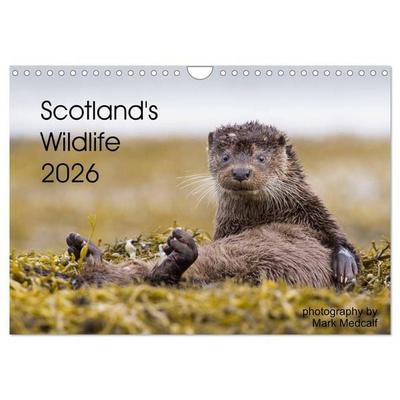 Scotland's Wildlife 2026 (Wall Calendar 2026 DIN A4 landscape), CALVENDO 12 Month Wall Calendar