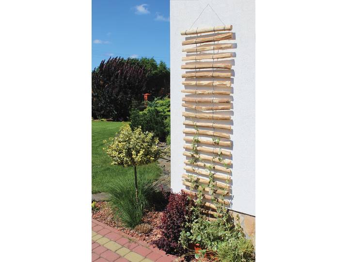Rankhilfe DOBAR, braun (honigbraun), B:50cm H:200cm, Edelstahl, Massivholz, Rankhilfen, Rankhilfe, LxB: 50x200 cm, Haselnuss