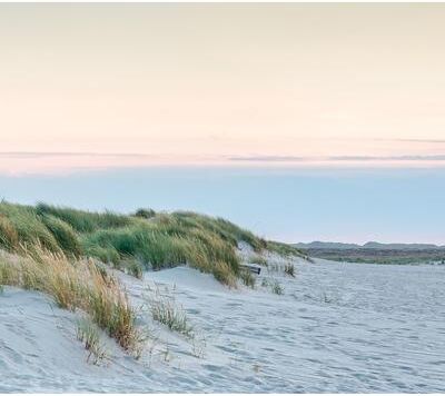 Veer Decor Costal Breeze Wall Mural
