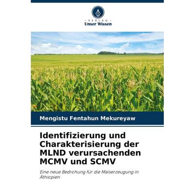 Identifizierung und Charakterisierung der MLND verursachenden MCMV und SCMV, Taschenbuch von Mengistu Fentahun Mekureyaw, Verlag Unser Wissen,