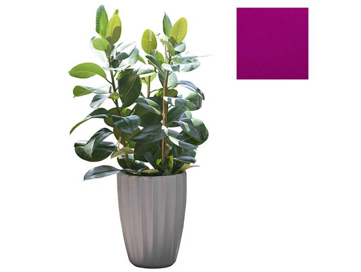 SLIDE vase STAR H 59 cm (Fuchsia - Polyéthylène)