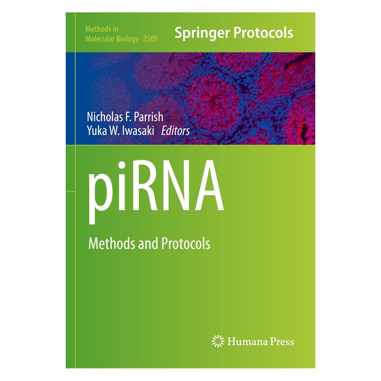 Springer piRNA (Englisch, Softcover, Nicholas F. Parrish, Yuka W. Iwasaki) (56955570)