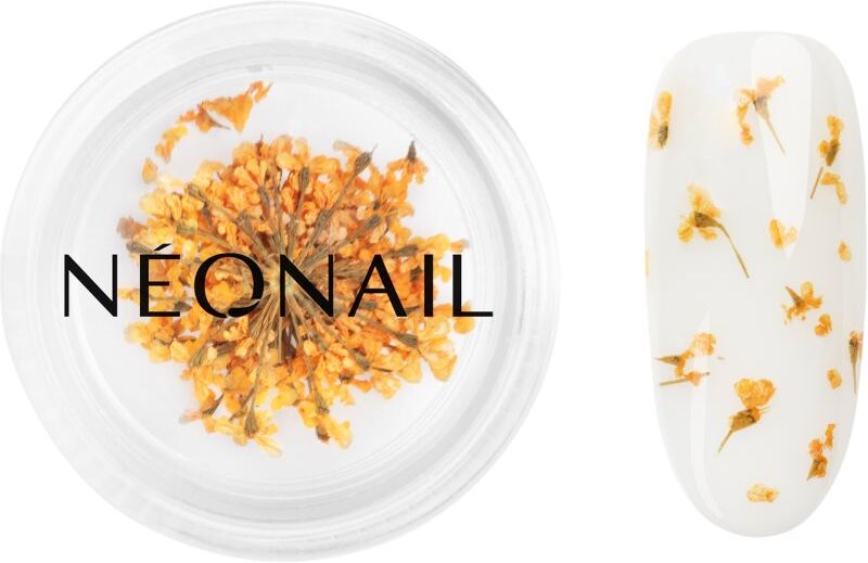 NEONAIL Dried Flowers dried blossom for nails shade Orange 1 pc