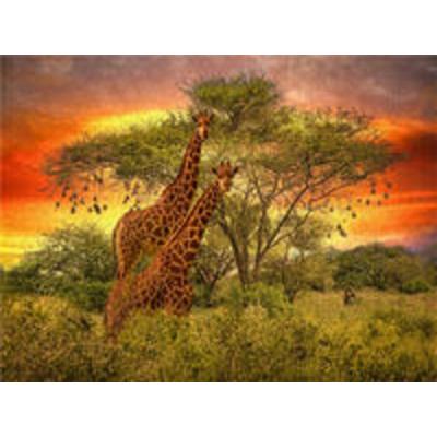 CALVENDO Puzzle Zwei Giraffen im Sonnenuntergang | 1000 Teile Lege-Größe 64x48cm Foto-Puzzle für glückliche Stunden