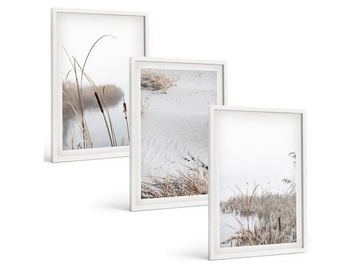 BILDER SET 3er Set - 40x60 cm Weißer Rahmen - Wasserpflanzen im Sommer