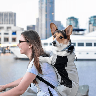 PetsAreLife Sack Trainer Dog Carrier Backpack Gray M
