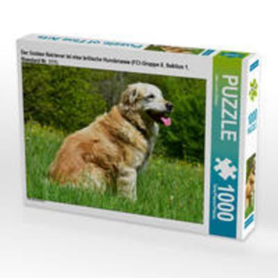 CALVENDO Puzzle Der Golden Retriever ist eine britische Hunderasse (FCI-Gruppe 8, Sektion 1, Standard Nr. 111). | 1000 Teile Lege-Größe 64x48cm