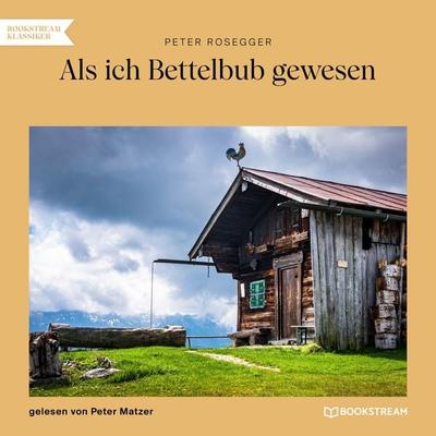 Als ich Bettelbub gewesen - Peter Rosegger, Audio, 9783991678847