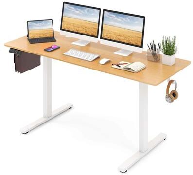 Height Adjustable Electric Standing Desk Extra Large Sit Stand Desk