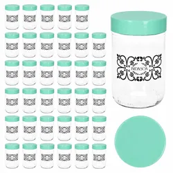 36er Set Ida Aufbewahrungsglas 0,5 L Vorratsgläser mint Müsli Nüsse Kräuter