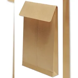 Clairefontaine 250x 250 Dehnb Tasche 280x400x30 Kraft- Braun 13058C