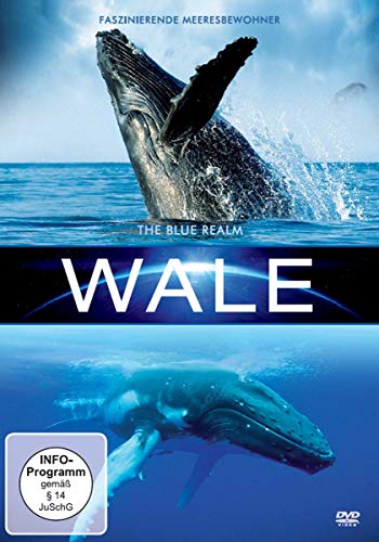 Wale - Preis vom 09.10.2026 07:28:09 h