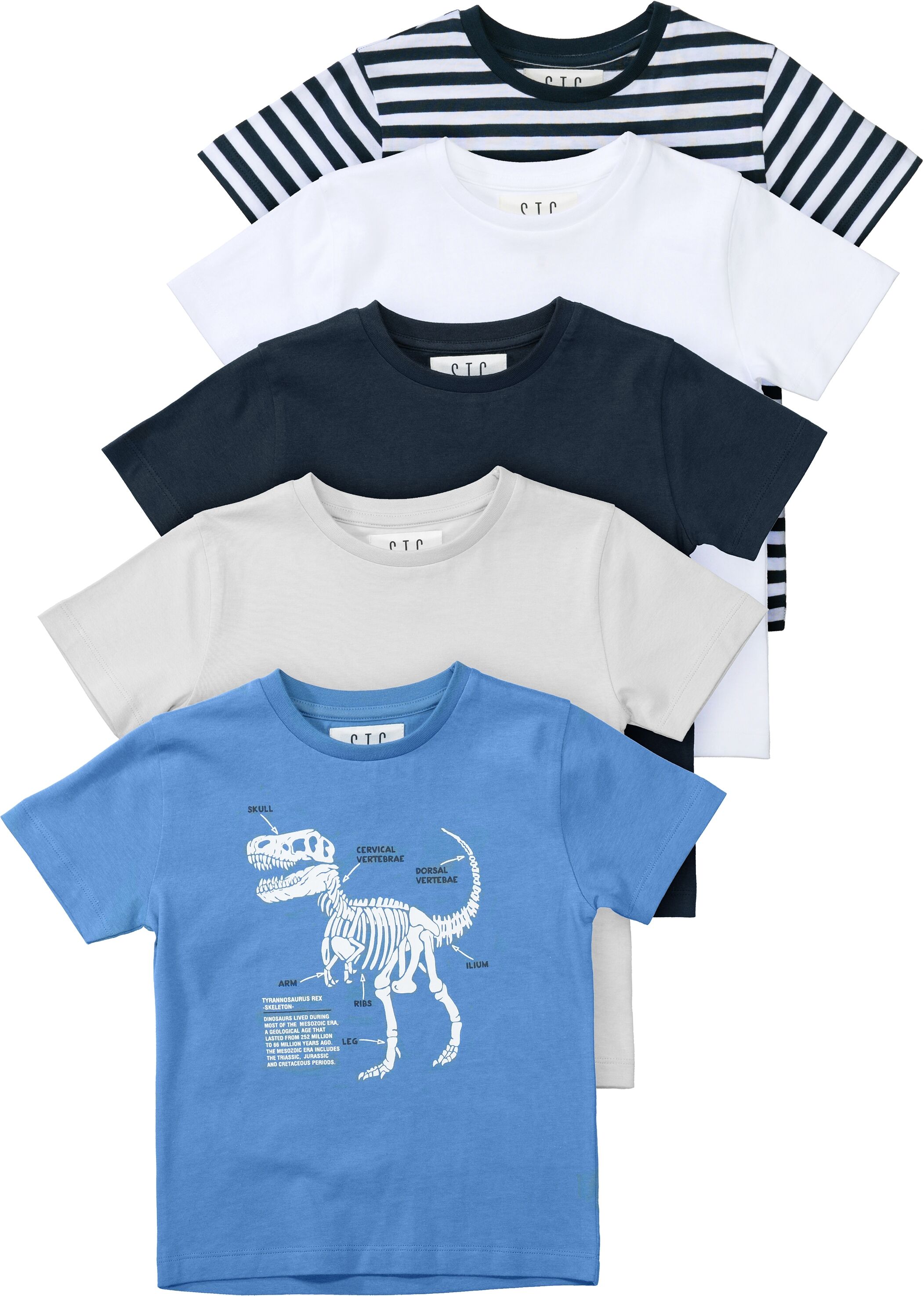 T-Shirt STACCATO "Dino", Jungen, Gr. 80/86, blau, Oberstoff: 100% Baumwolle., Rundhals, Shirts T-Shirt, 5-er Set blau 80/86
