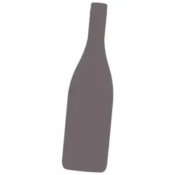 Saint Aubin 1er Cru Les Champlots Rouge 2023 - Domaine Bouton
