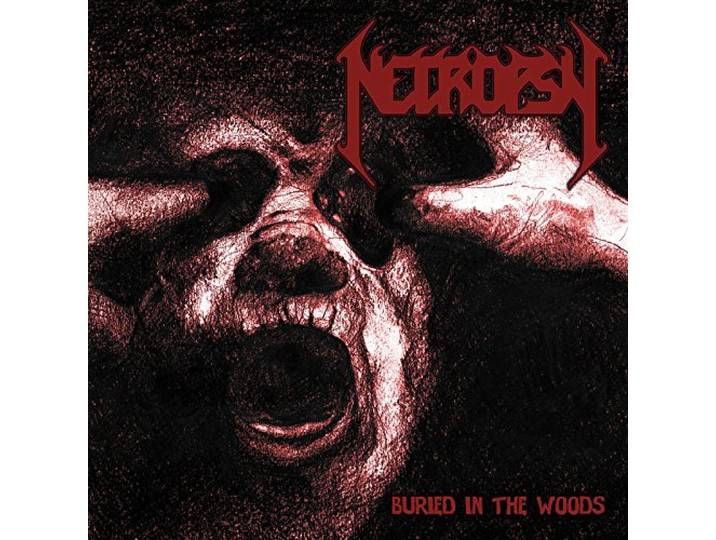 Buried in the Woods