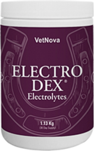 Vetnova Electro Dex Sais Solúveis 1.13kg
