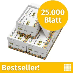 Infowerk Druckerpapier Kopierpapier 25000 Blatt (50 x 500) DIN A4 80 g Premium Hochweiß CIE 160 Testsieger PEFC zertifiziert