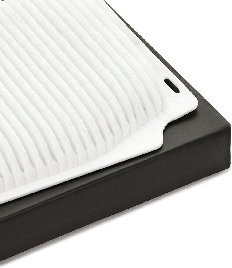 RIDEX 424I1039 Pollen filter