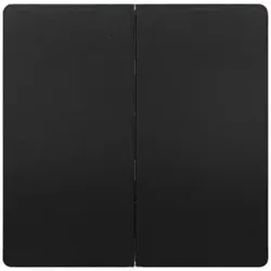 Siemens 5TG7145-0AC00 DELTA style Wippe 2-fach neutral für Serienschalter, anthrazit 5TG71450AC00