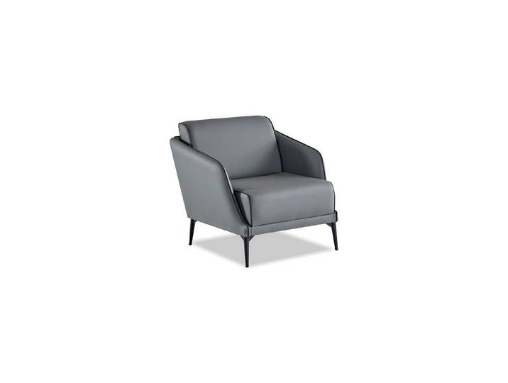 Xlmoebel Loungesessel Sessel modernes Grau elegant minimalistisch vielseitig ergonomisch (1-St., 1-tlg)