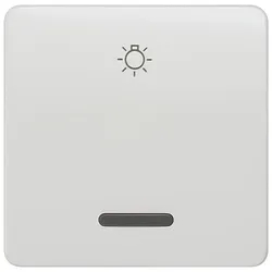 Siemens 5TG7806 DELTA profil Wippe mit Fenster und Symbol Licht, titanweiß