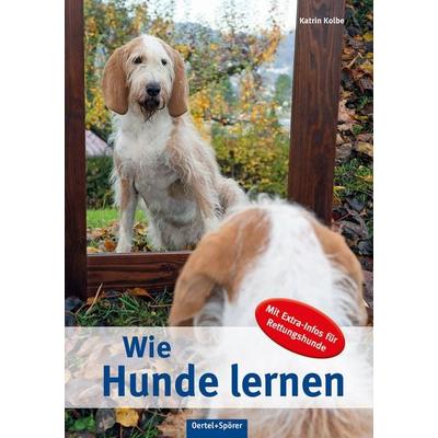 Wie Hunde lernen, Gebundene Ausgabe von Katrin Kolbe, Oertel u. Spörer, 978-3-88627-873-2