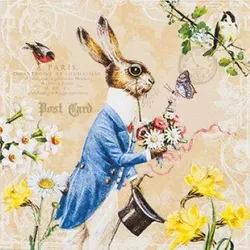 Home Fashion®, Mr. Rabbit, Lunch-Servietten aufgefaltetes Maß 33 cm x 33 cm, im Viertelfalz, 20 Stück pro Pack