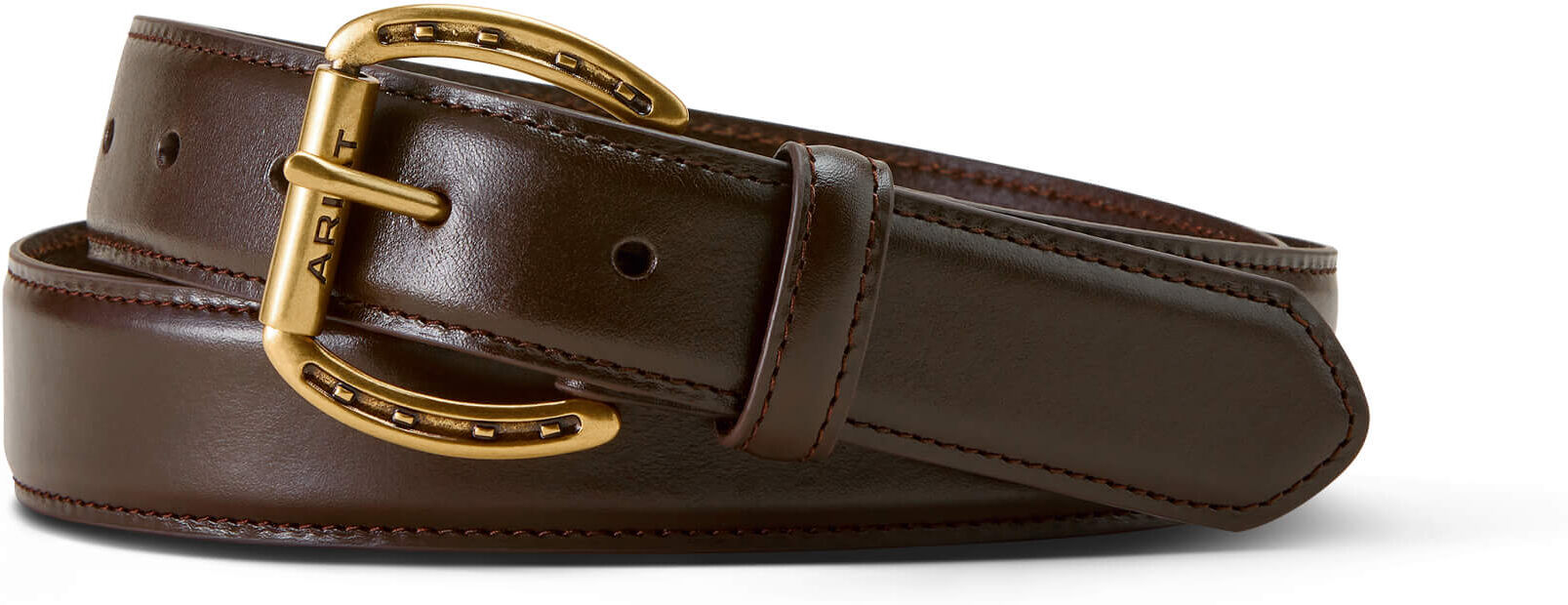 Women's Martingale Belt in Chocolate Leather, Size: Medium by Ariat