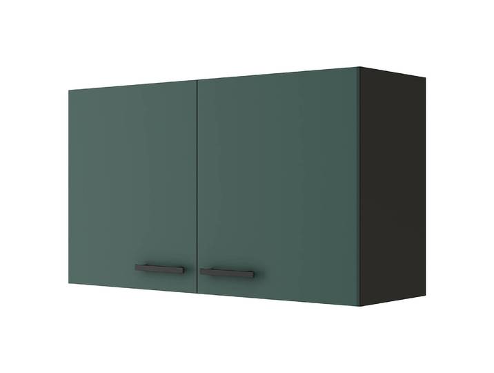 Armoire suspendue 100cm Vert/Vert/Anthracite