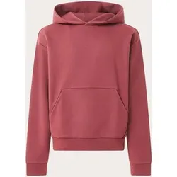 OAKLEY Herren Kapuzensweat SOHO GEN HOODIE, Größe XL in Rot Rot