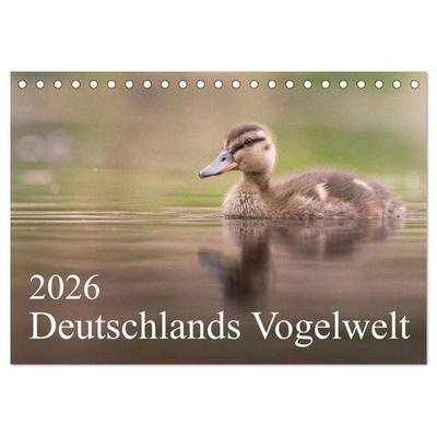Deutschlands Vogelwelt (Tischkalender 2026 DIN A5 quer), CALVENDO Monatskalender