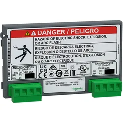 Schneider Electric E/A-Modul METSEPM2KANLGIO11