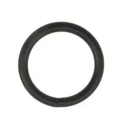 O-Ring für Entleerschraube für Speck BADU 90
