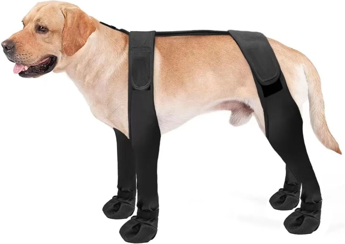 INF Pet Anti-Schmutz Outdoor Schuhe: Wasserdichter & Rutschfester Pfotenschutz für Hunde M