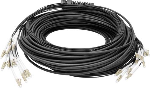 Digitus DK-2433CU050BK-BBB Glasfaser LWL Anschlusskabel 50m Schwarz [12x LC/UPC-Stecker - 12x LC/UPC-Stecker] 50/125 µ Multimode