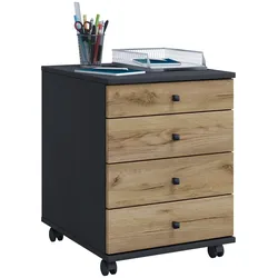 VCM Rollcontainer LONA - B/H/T ca. 42.00x57.00x50.00