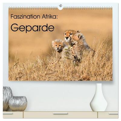 Faszinaton Afrika: Geparde (hochwertiger Premium Wandkalender 2027 DIN A2 quer), Kunstdruck in Hochglanz