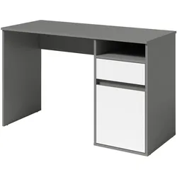 SCHREIBTISCH REGIS 120x53x75,5 cm Bürotisch Computertisch, Graphitfarben