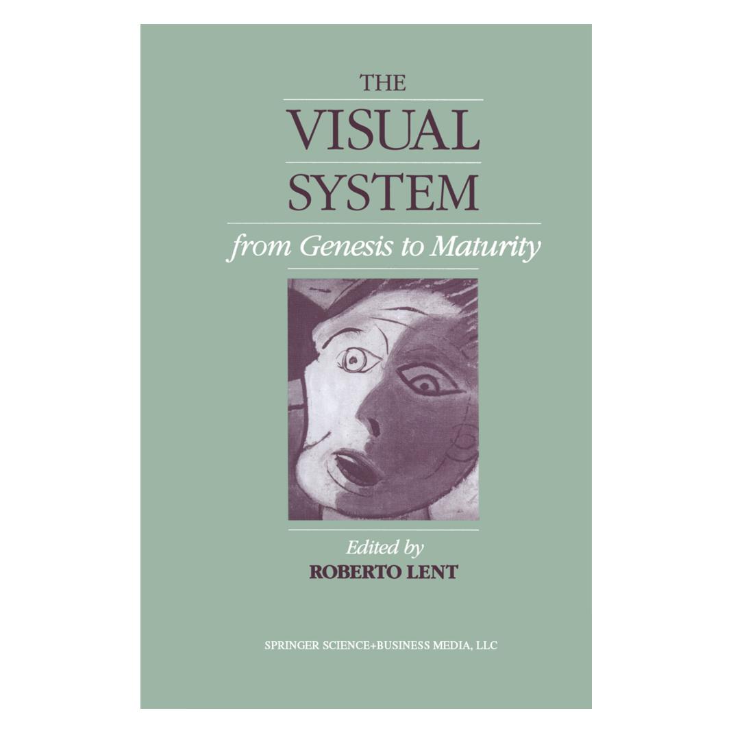 Birkhäuser The Visual System from Genesis to Maturity (Englisch, Softcover, LENT) (55551643)