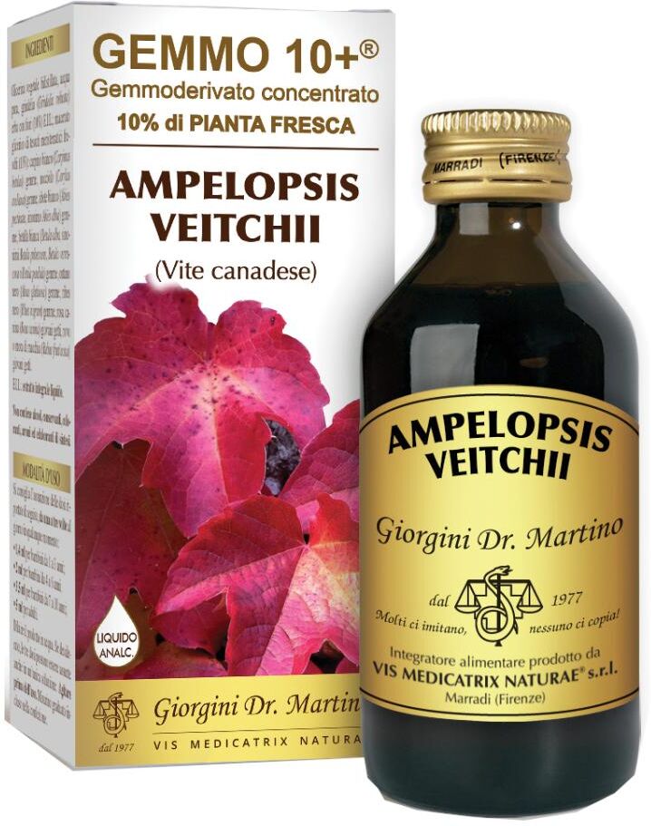 DR.GIORGINI SER-VIS Srl AMPELOPSIS V (VITE CAN)100ML LIQ AN