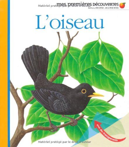 Collectif - L'oiseau - Preis vom 01.10.2026 17:08:56 h