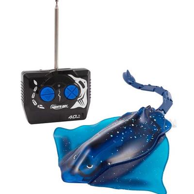 RC: Manta Rochen
