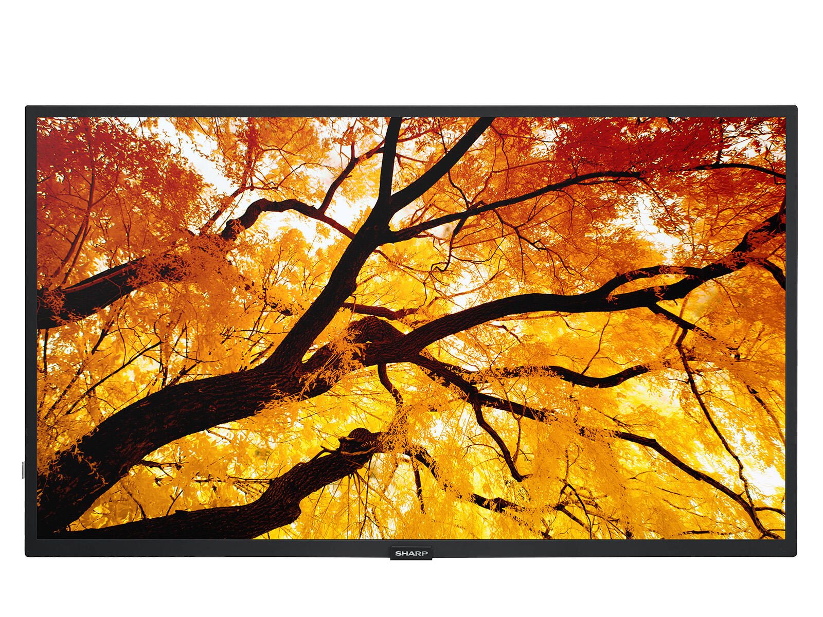 Sharp Display Solutions Sharp MultiSync M322 Digital Signage Display 80 cm 32 Zoll PNM322