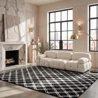 SAFAVIEH Adirondack Leila Vintage Boho Oriental Rug