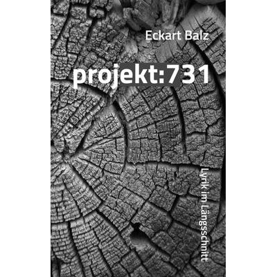 projekt: 731, Taschenbuch von Eckart Balz, Chiliverlag, 978-3-943292-93-0
