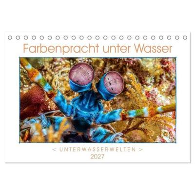 Farbenpracht unter Wasser (Tischkalender 2027 DIN A5 quer), CALVENDO Monatskalender