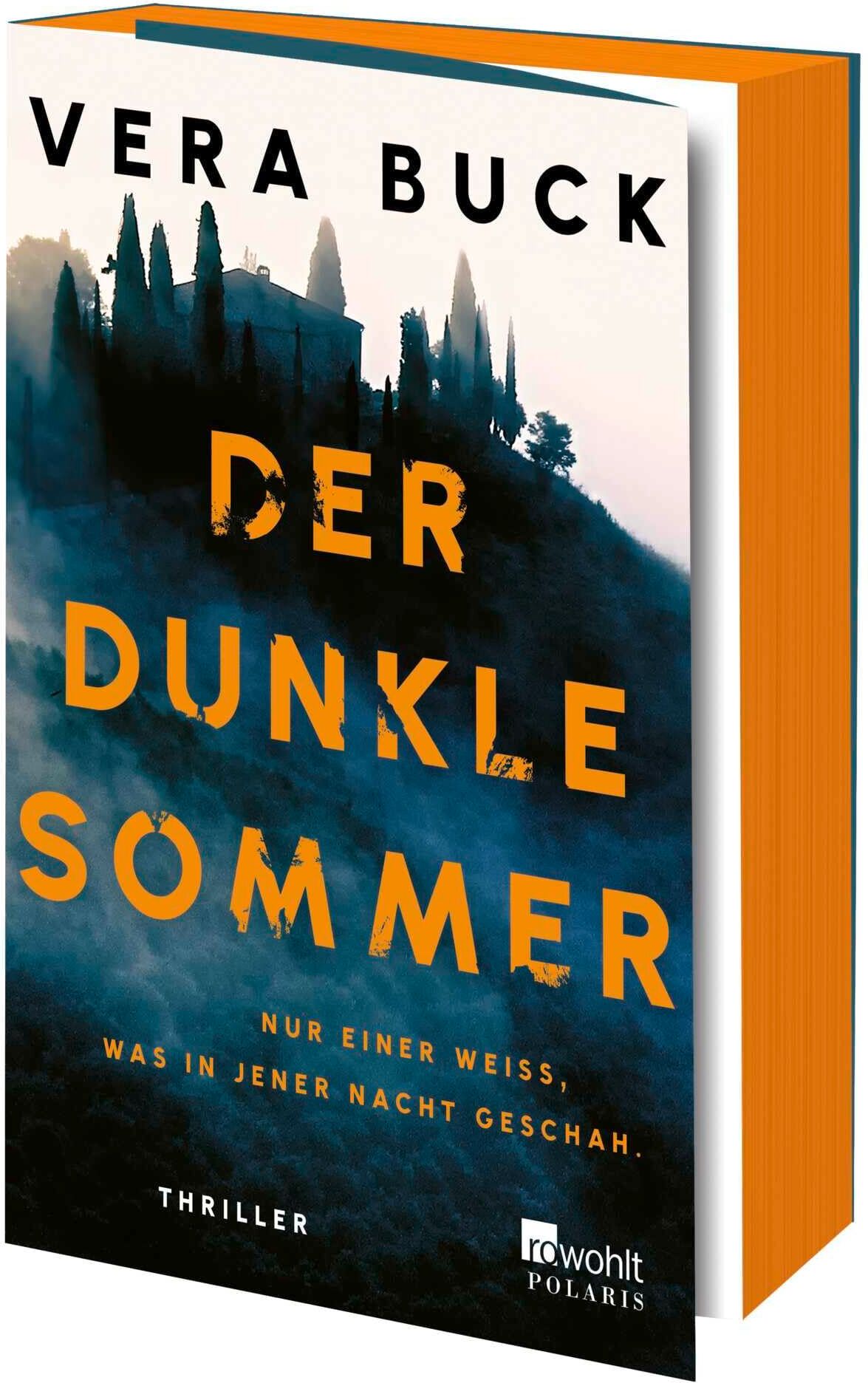 Vera Buck - Der dunkle Sommer: Nur einer weiß, was in jener Nacht geschah. Thriller Mit limitiertem Farbschnitt in der ersten Auflage - Preis vom 30.09.2026 09:01:18 h